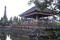 bali rice terrace